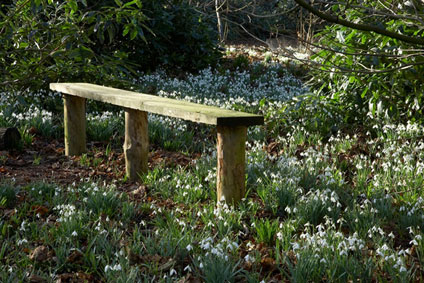 Rode Snowdrops Bench
